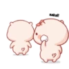 Babi gemoyy 6