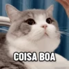 ANIMAÇÕES ENGRAÇADOS🤣 11