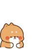 Kucing gemeyy 12