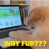 My Crypto Life #2 7