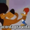 PICA PAU DA ZOEIRA  11