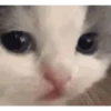 Random Mov 01 7