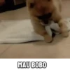 Animasi masa kini 14