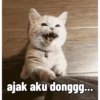 Kocheng pt2 😼 11