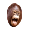 Animasi stiker 8