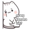Peach Cat (2) 8