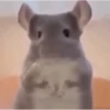 MEMESITOS PARA TI*S,Animados*😎 6