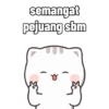 Kucing Cute Dua 7