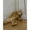 Random Mov 01 6
