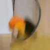 Pajaritos UwU🐦💗💫 9