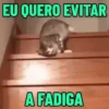 REAJA COM GATINHOS 😸🐈 5