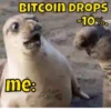 My Crypto Life #2 13
