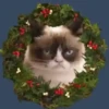 🐱Michis en Navidad🎁🎄 7