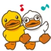 Male Duck 14