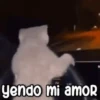 Animados NEW 8.0 11