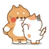 Kucing gemeyy 11