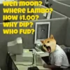 My Crypto Life #2 21