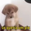 ANIMADAS DA ZOEIRA 8