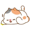 Kucing gemeyy 10
