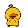 Male Duck 12