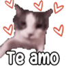 Animados New 7.0 12