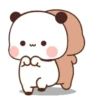 Panda Cubet 13
