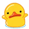 Male Duck 17