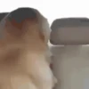 Funny Animated 6