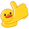 Male Duck 16