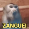 MELHORES MEMES PARA VOCÊ 10