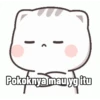 Meong Bucinn 9