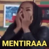 E é meme é? 13
