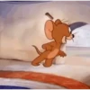 TOP DEBOCHES DO JERRY   10