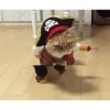 Cats 15