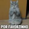 MEMES FOFOS 🥰 14