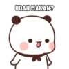 Panda Cubet 16