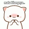 Peach Cat (5) 14