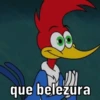 PICA PAU DA ZOEIRA  10