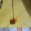 Funny Reactions 10