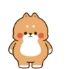 Kucing gemeyy 6