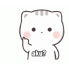 Meong Bucinn 11