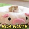 MEMES FOFOS 🥰 7