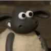 Deboche e memes 12
