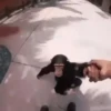 MONKEY FLIP 15