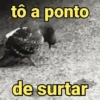 Pack de reações ✨ 8