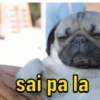 DEBOCHINHOS 14