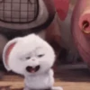 Snowball Rabbit 🐰🥕 Mov 13