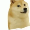 Famous Memes 12