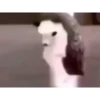 Tiktok pt4 20