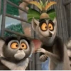 Madagascar Movie🎥🦁🦒🦓🦛✨ 16